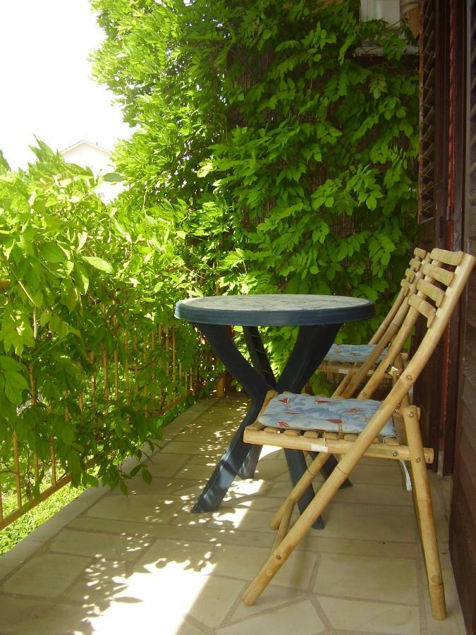 Apartment Srhoj *